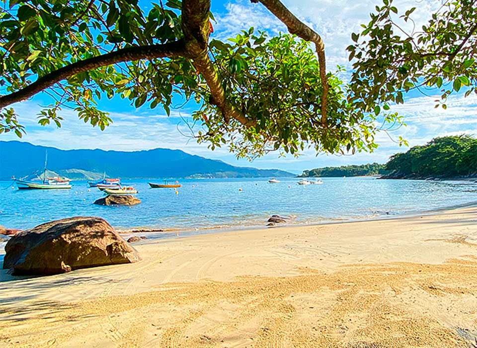 liquens-ilhabela-veloso-sobre